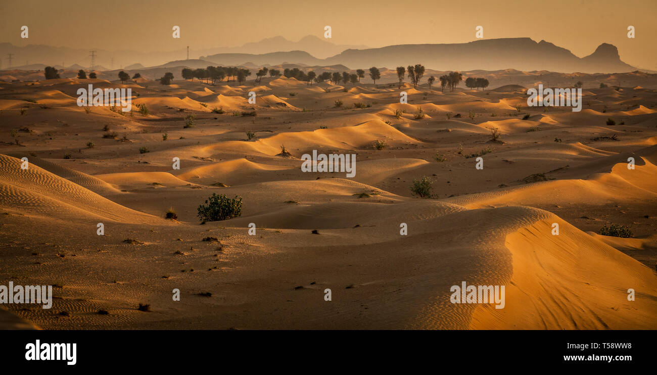 Sharjah désert Maleha flanquant le rock rose derrière populairement connu sous le nom de roches fossiles à Sharjah Banque D'Images