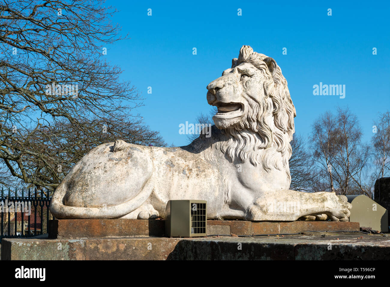 Lion couché en marbre blanc à la base des locataires et colonne Percy Lion à Alnwick dans le Northumberland, England, UK Banque D'Images
