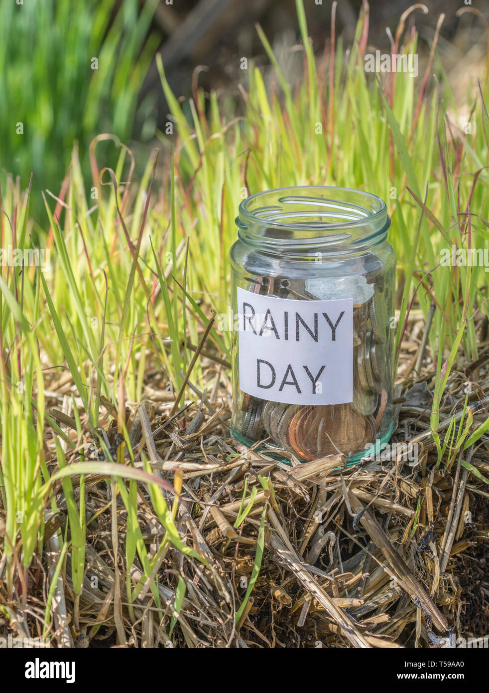 Pot d'argent / rainy day savings jar à l'extérieur dans le soleil. Métaphore l'épargne personnelle, d'économiser de l'argent, l'épargne-retraite, l'épargne-retraite, l'épargne pot Banque D'Images