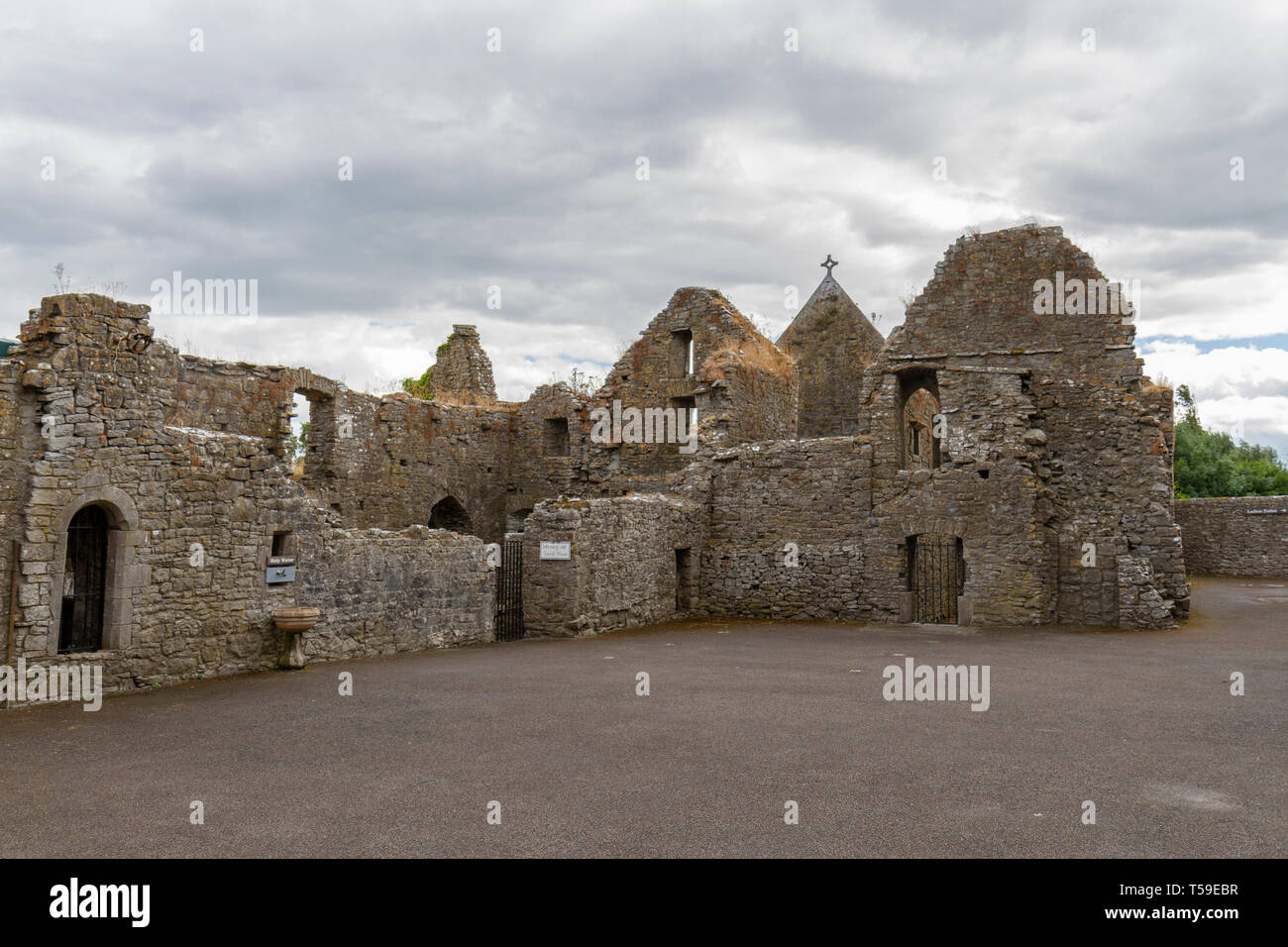 Abbaye Sainte Croix dans l'église Sainte Croix, comté de Tipperary, en Irlande. Banque D'Images