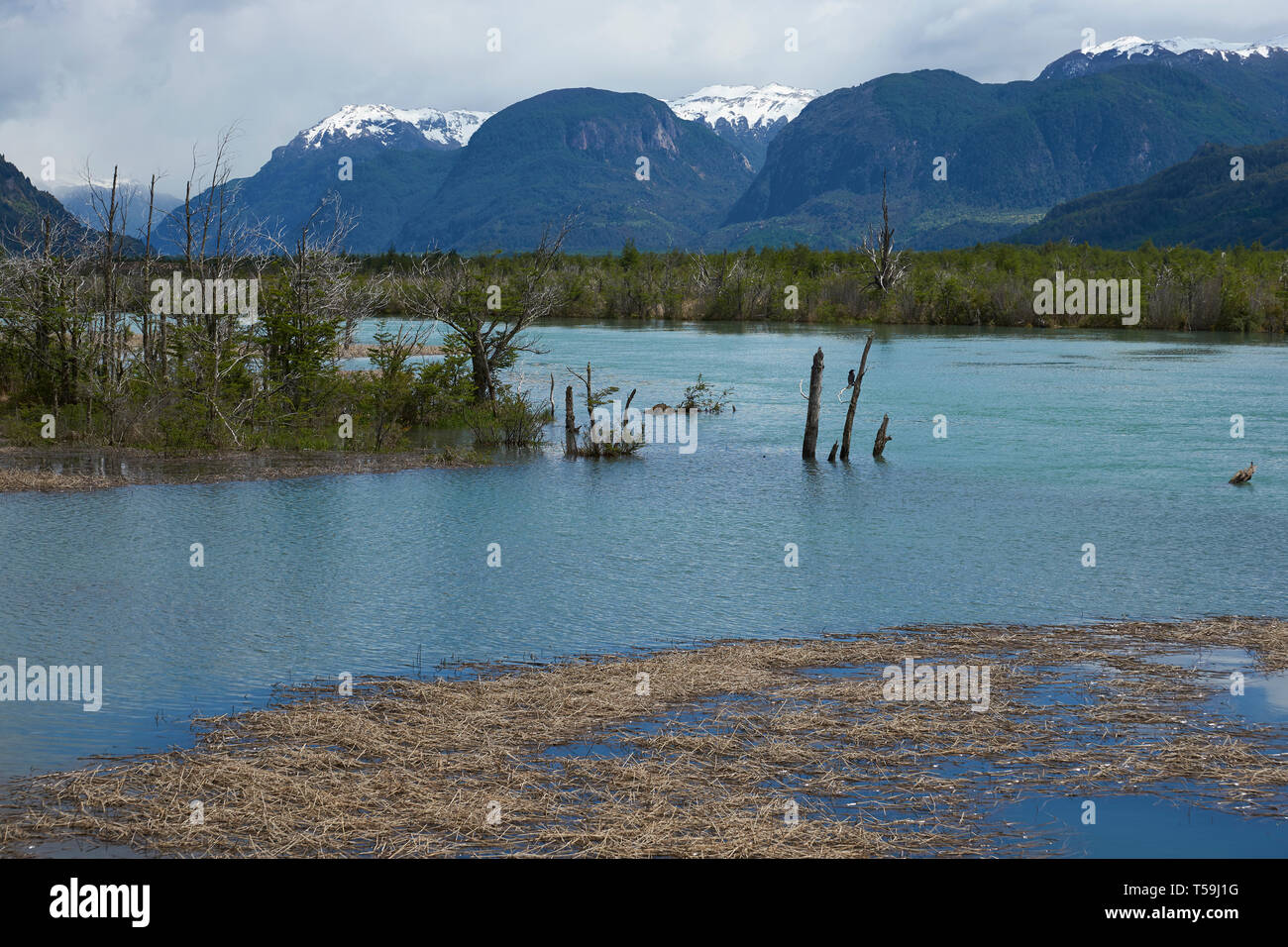 Paysage le long de la Carretera Austral au-dessus de Rio Ibanez en Patagonie, Chili Banque D'Images