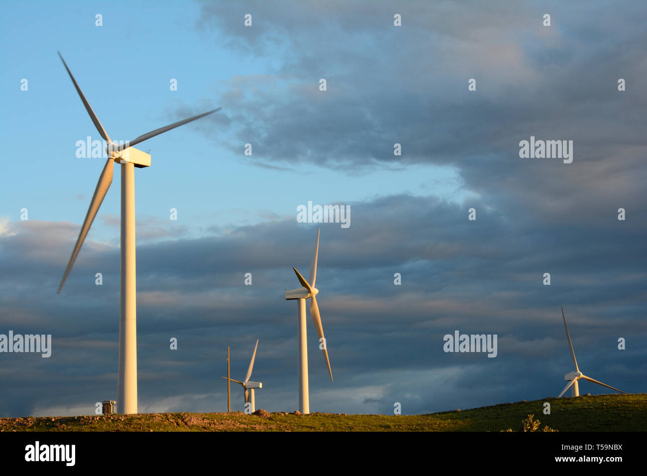 L'énergie éolienne éoliennes ferme à la lumière d'or en face de ciel nuageux, la production d'électricité respectueuse de l'environnement Banque D'Images