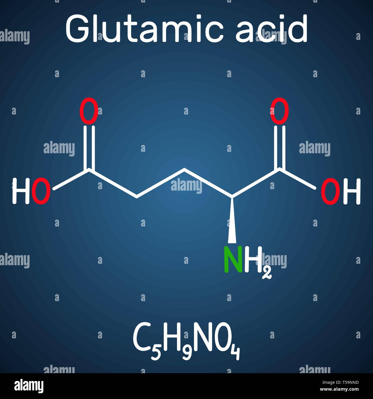 L'acide glutamique (L- acide glutamique, Glu, E) molécule d'acide aminé aliphatique. Formule chimique structurel sur le fond bleu foncé. Vector illustration Illustration de Vecteur