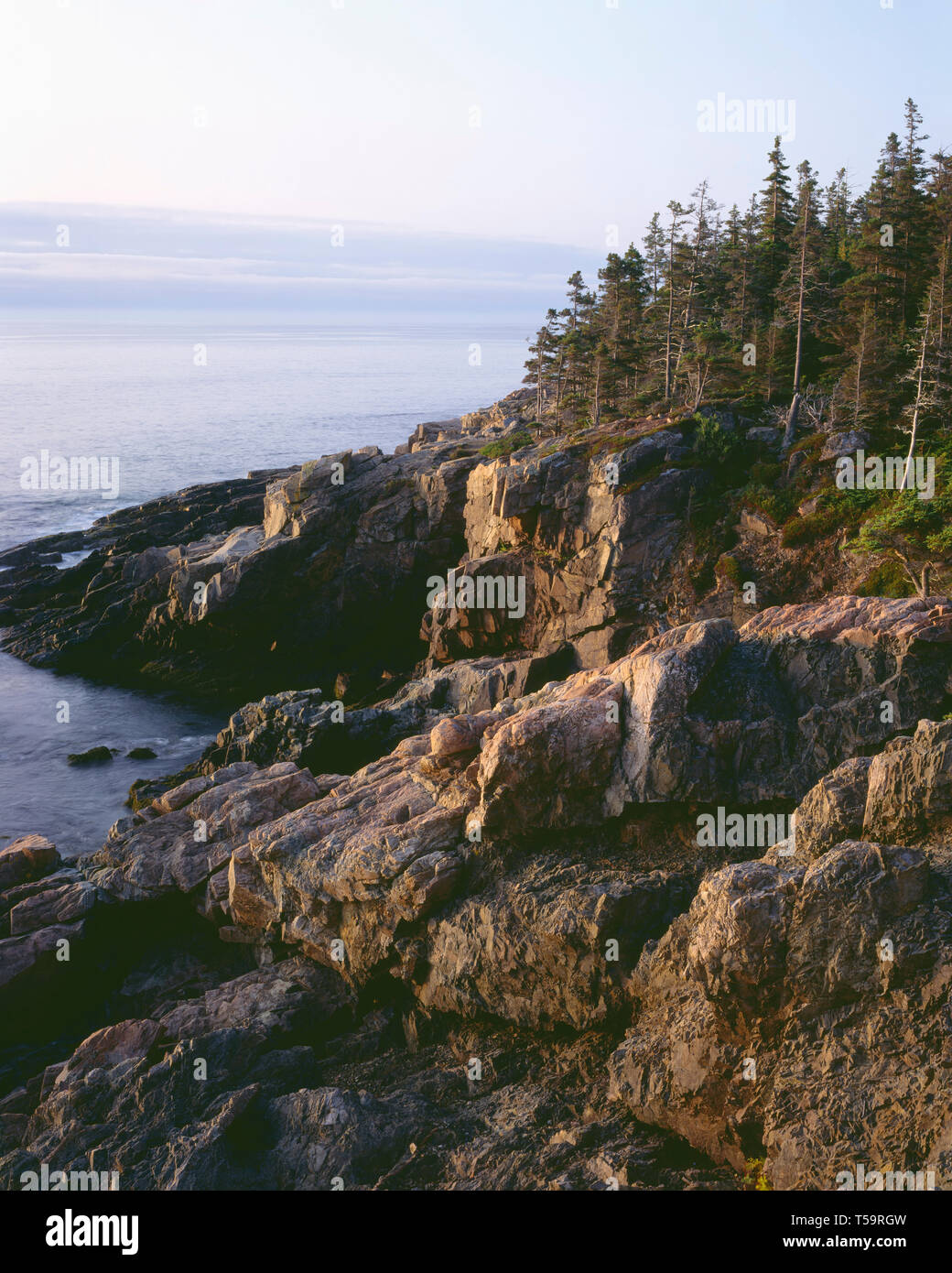 USA, le Maine, l'Acadia National Park, Rocky, côte de granit répond à une mer calme sur l'océan Atlantique, vue vers le sud depuis près de Otter Point. Banque D'Images
