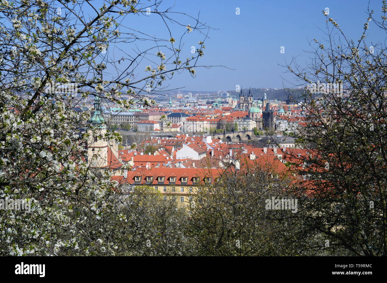 Vue de Prague au printemps avec les arbres en fleurs Banque D'Images