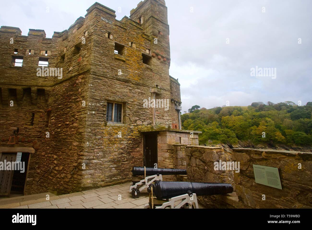 Château de Dartmouth, Dartmouth, Devon, Angleterre. Banque D'Images