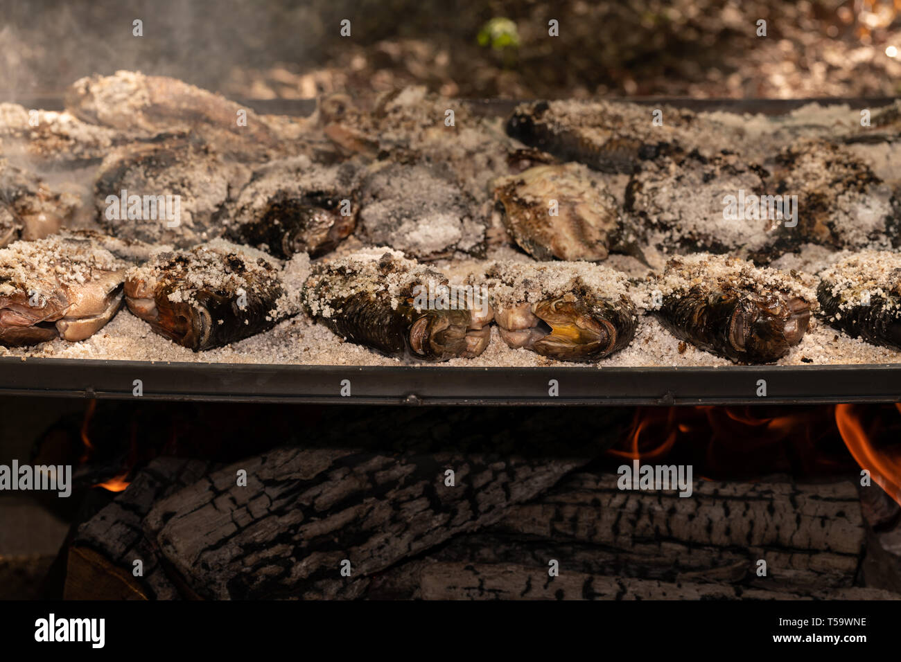 Tilapia en croûte de sel le poisson cuit sur le grill avec du bois de sciage brûler le dessous. Banque D'Images