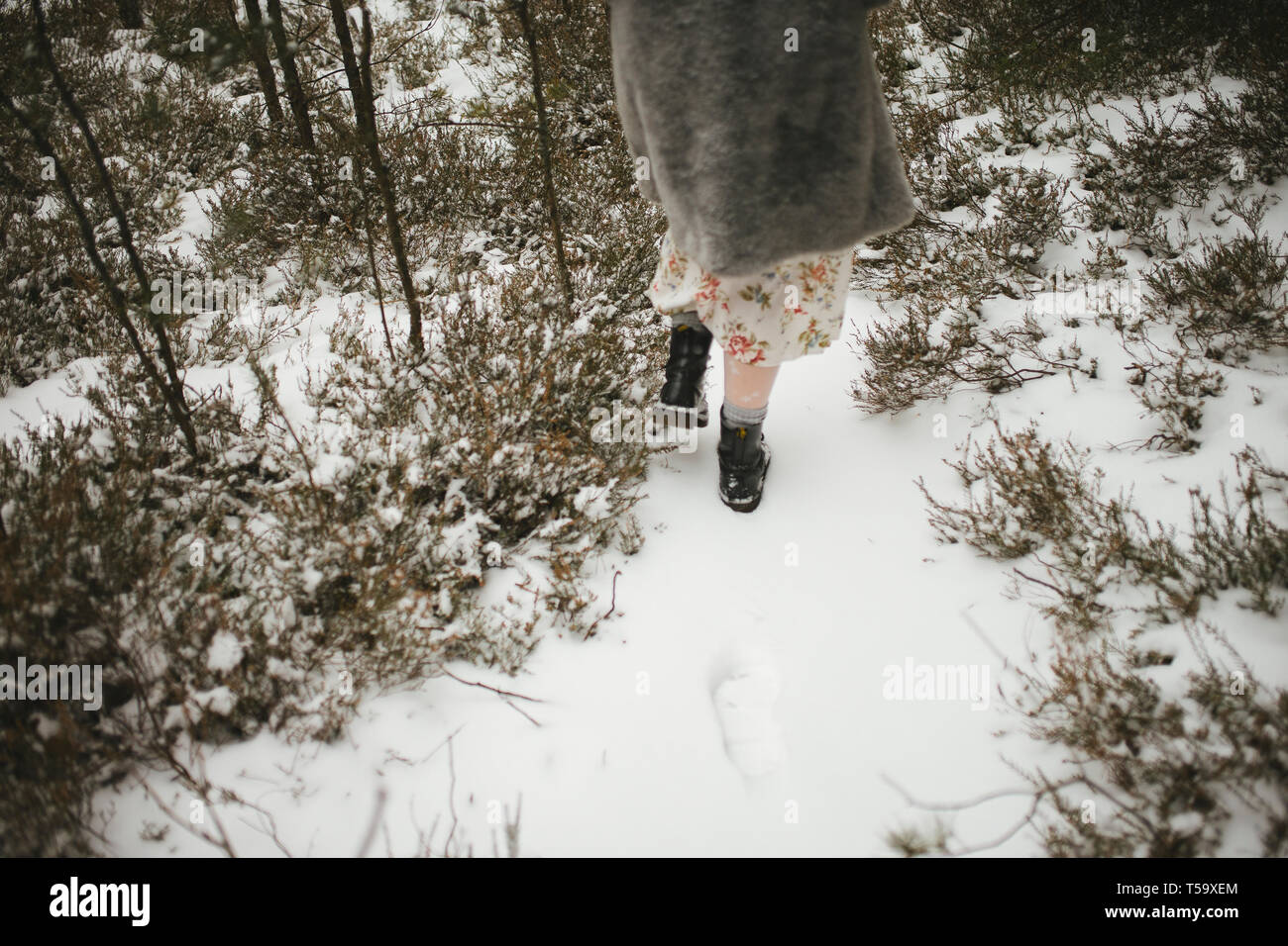 Les jambes d'une fille qui marche à travers les bois en hiver Banque D'Images