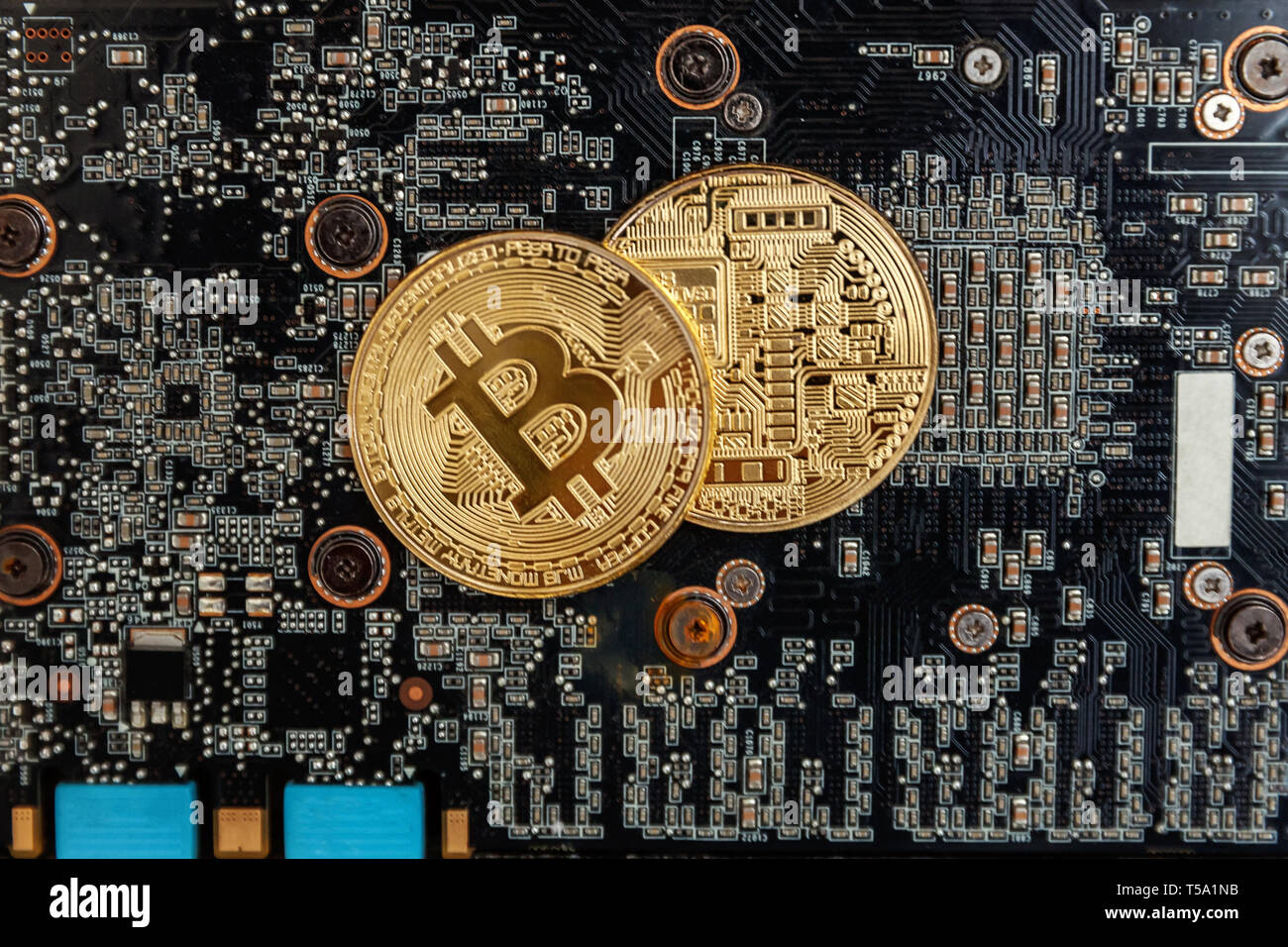 Les Bitcoins se trouvent sur la carte vidéo, le concept de l'exploitation minière. L'argent virtuel électronique pour le web banking et le réseau international de paiement. Symbole de crypto curren Banque D'Images