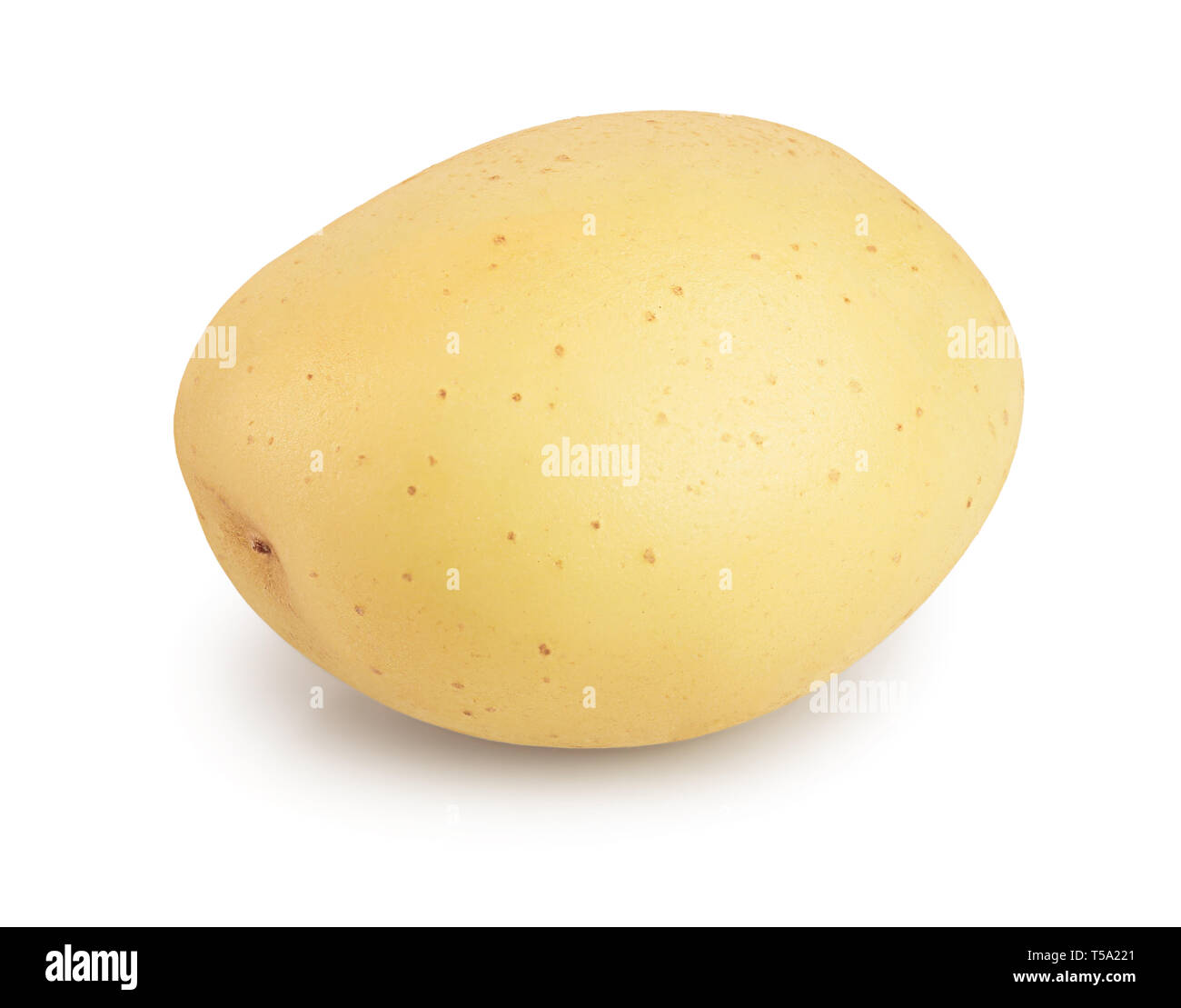 Pomme de terre jeune isolé sur fond blanc. Nouvelle récolte Banque D'Images
