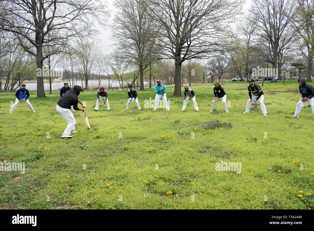 Un groupe de moins de 25 joueurs de cricket réchauffer par fielding balles en Baisley Pond Park en Jamaïque, Queens, New York. Banque D'Images
