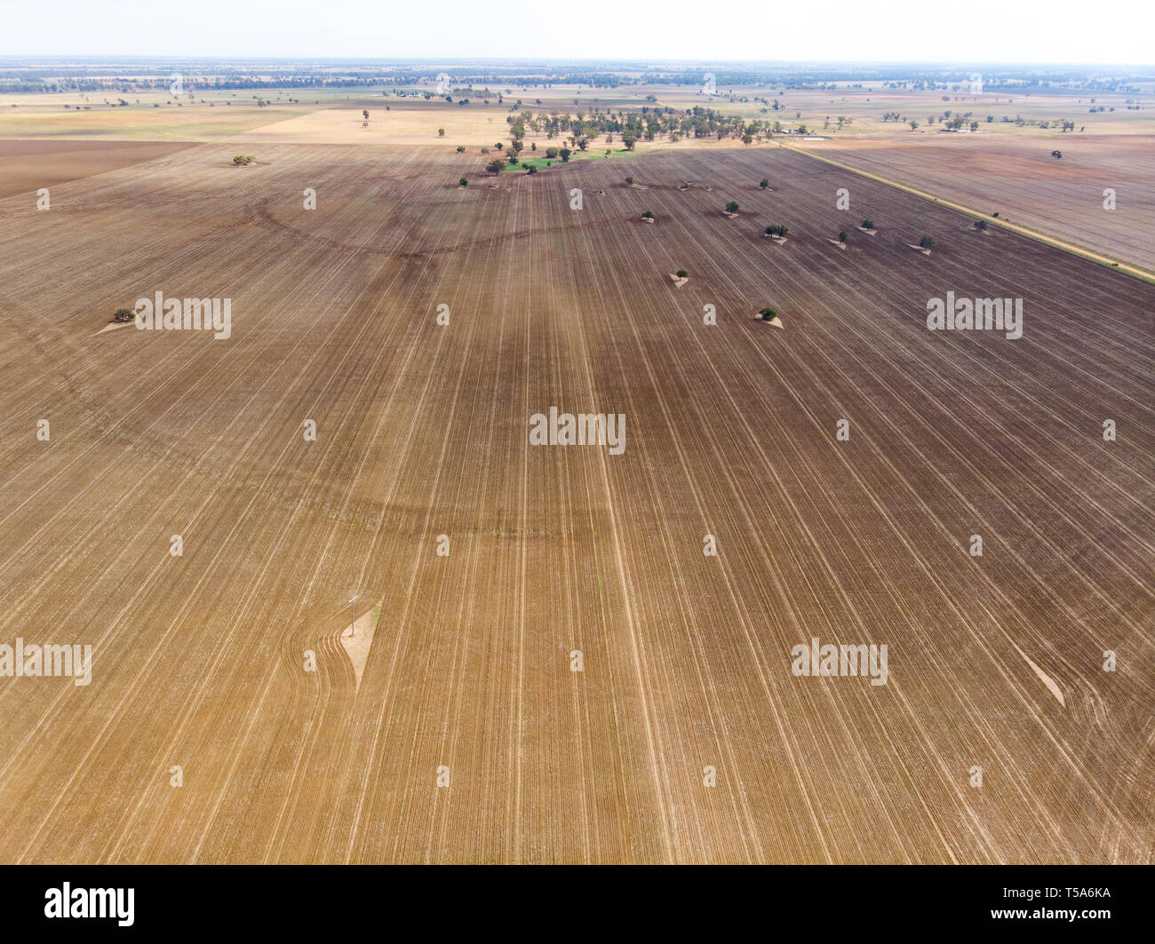 Propriétés agricoles en Nouvelle Galles du Sud, Australie Banque D'Images