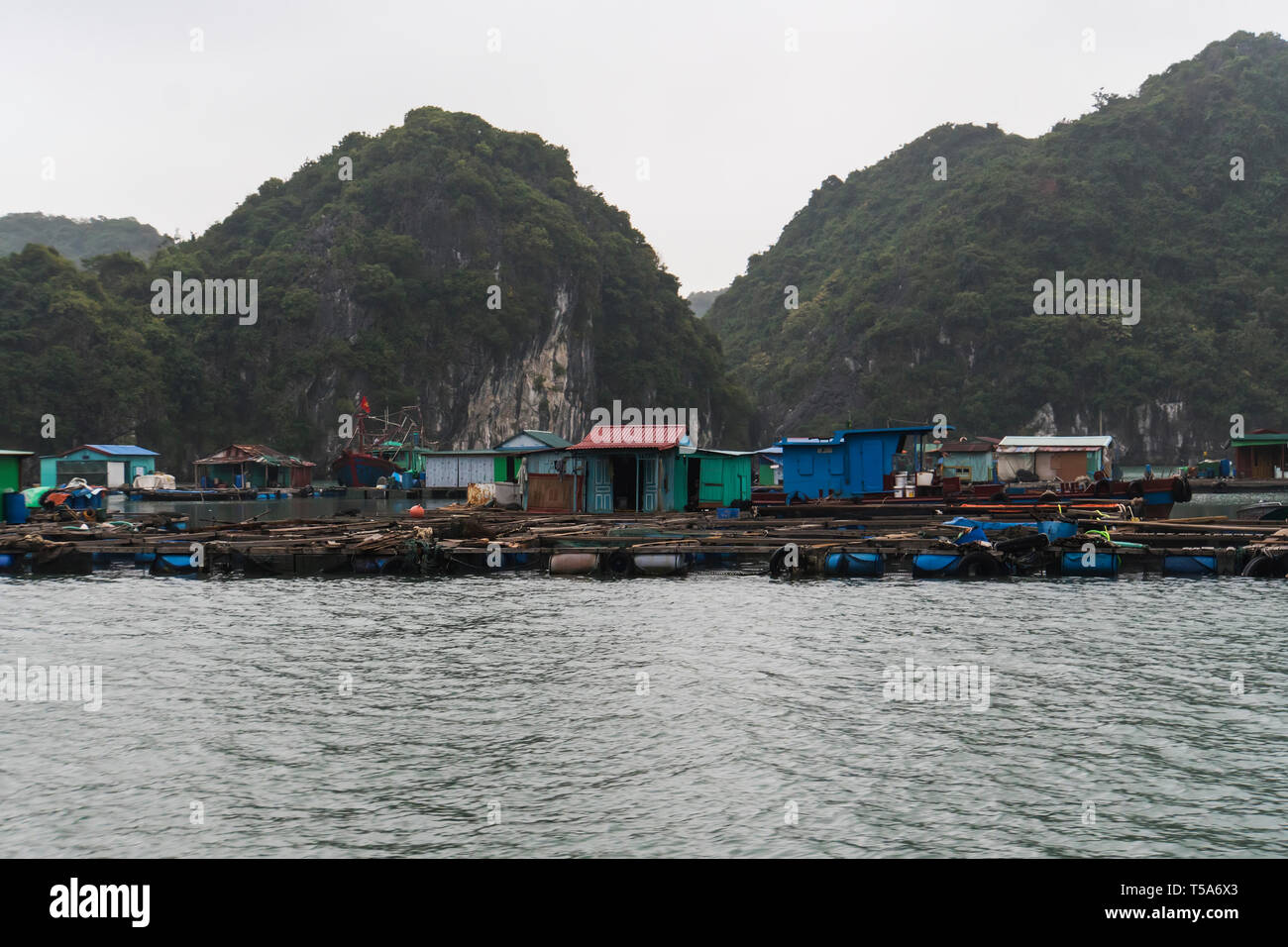 Village flottant de la baie d'Halong en Wan Kuah au Vietnam. Maisons sur l'eau. Côte Rocheuse. Saison des pluies d'hiver brouillard. Banque D'Images