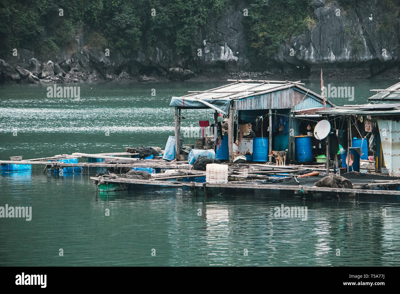 Pisciculture flottante dans la baie de Ha Long vietnam. production de poissons et crustacés dans la mer. Banque D'Images