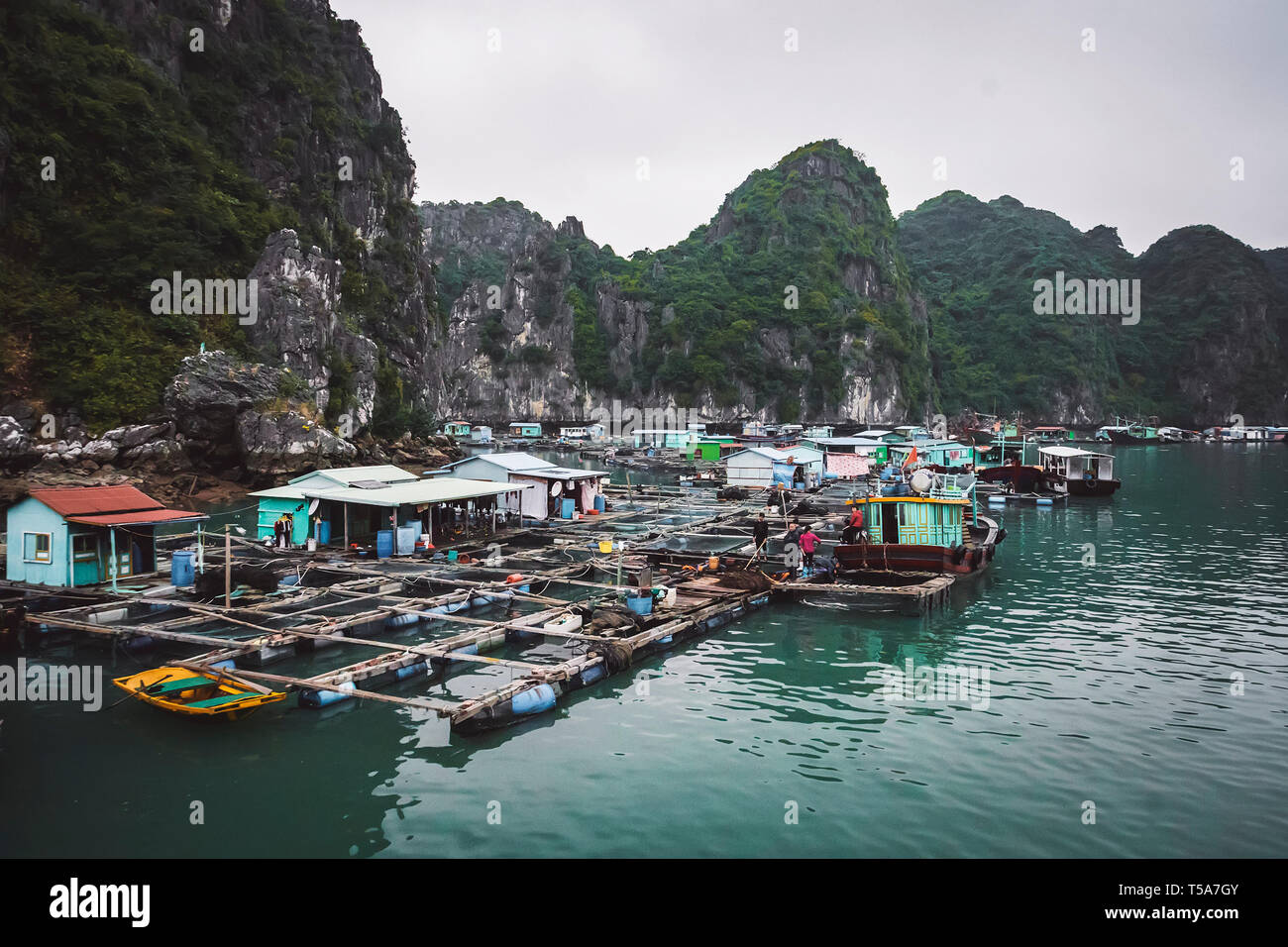 Pisciculture flottante dans la baie de Ha Long vietnam. production de poissons et fruits de mer dans les pauvres, les indigents. Banque D'Images