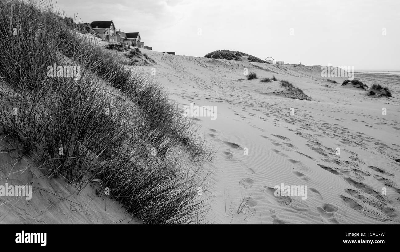 Berck-Plage, Rhône, Hauts-de-France, France Banque D'Images