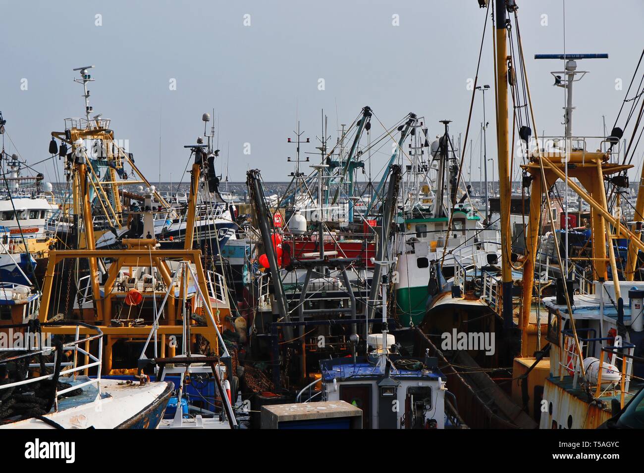 Port de Brixham Banque D'Images