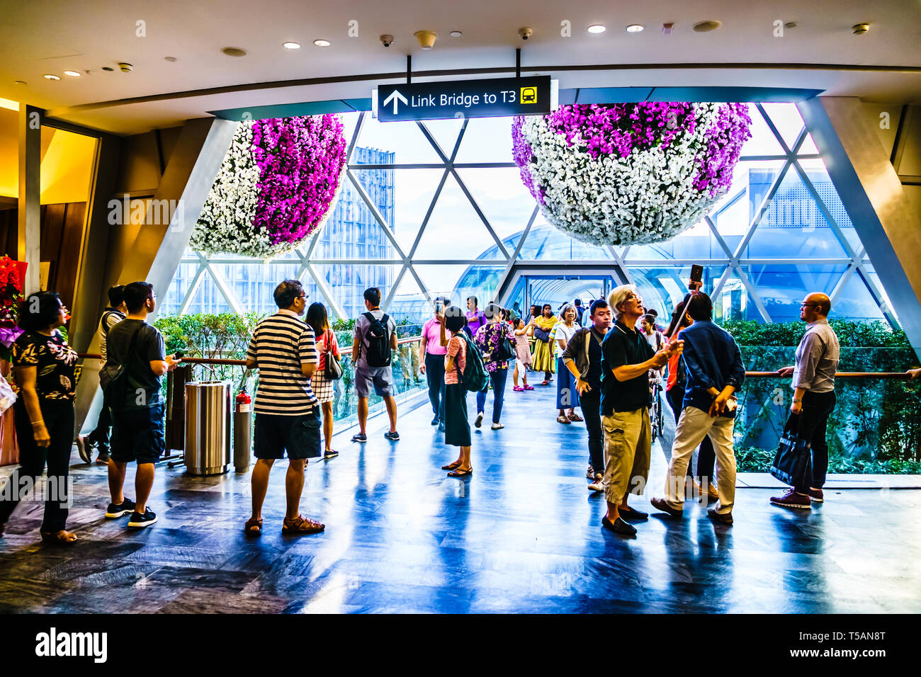 Singapour - Apr 16, 2019 : l'aéroport de Changi est un joyau à usage mixte à l'aéroport de Changi à Singapour qui s'est ouvert le 17 avril 2019. Banque D'Images