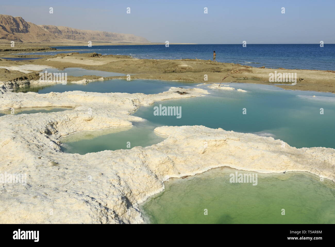 Plage dans une mer morte Banque D'Images