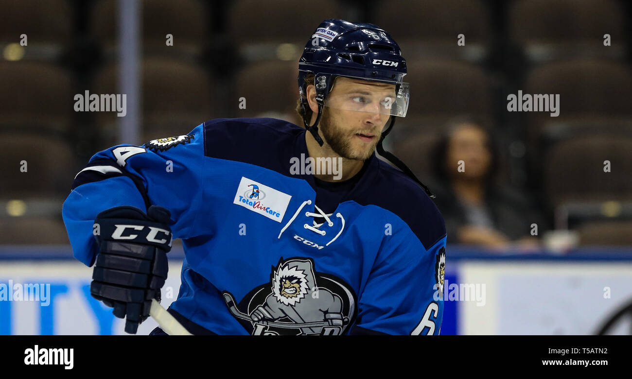 Jacksonville joueur Icemen Hayden Shaw (64) au cours de la première période d'un match de hockey professionnel ECHL au Veterans Memorial Arena à Jacksonville, en Floride, le samedi 20 avril, 2019. (Gary Lloyd McCullough/Cal Sport Media) Banque D'Images