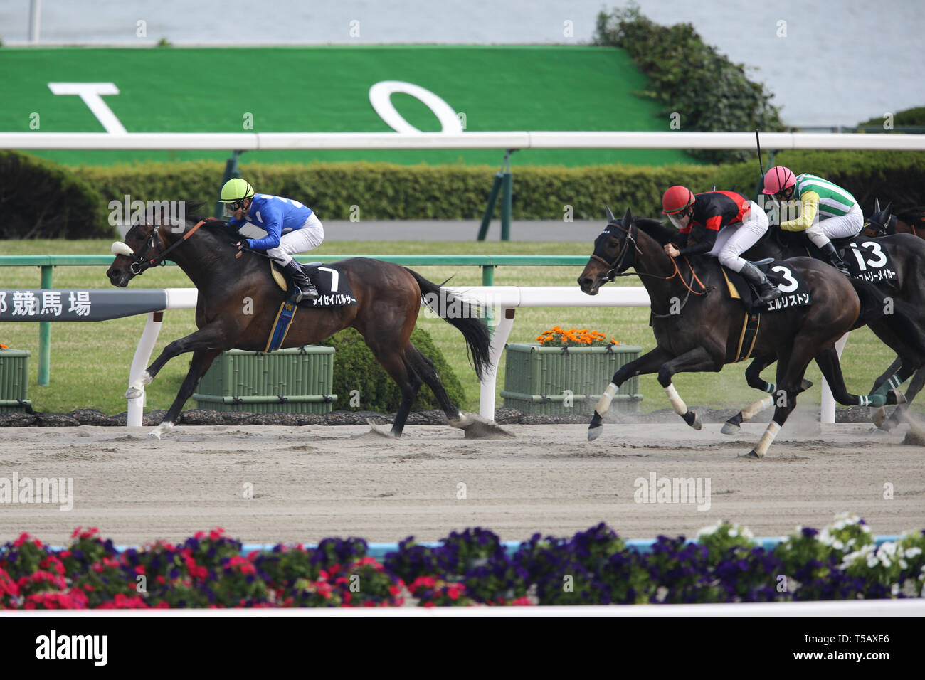(L-R) Pulsar Taisei (Yusuke Fujioka), El Liston (Kohei Matsuyama), l'histoire bouilloire (Shogo Hatabata), 21 avril 2019 - Les courses de chevaux : Pulsar Taisei monté par Yusuke Fujioka remporte la 10R de Kyoto à Enjeux Momoyama Hippodrome de Kyoto à Kyoto, au Japon. Credit : Eiichi Yamane/AFLO/Alamy Live News Banque D'Images