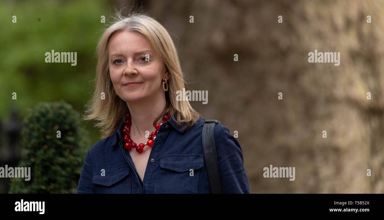 Londres, Royaume-Uni. Apr 23, 2019. Elizabeth Truss, député Secrétaire en chef au Trésor arrive à une réunion du Cabinet au 10 Downing Street, London Crédit : Ian Davidson/Alamy Live News Banque D'Images
