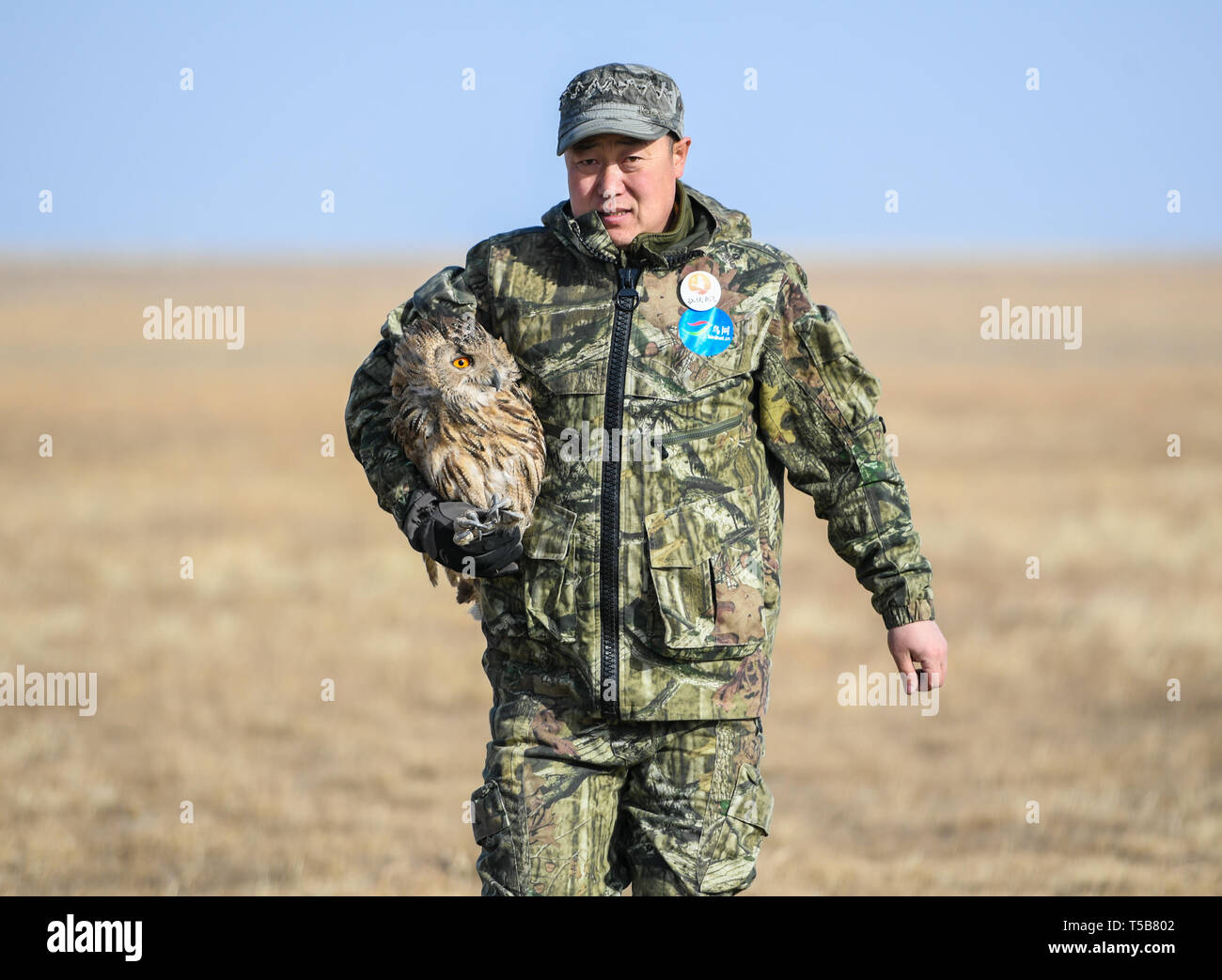 (190423) -- HULUN BUIR, 23 avril 2019 (Xinhua) -- Shuanglong, un homme d'ethnie mongole, prend un grand-duc pour la formation avant de le libérer dans la nature le long du lac Hulun Buir Hulun dans la ville du nord de la Chine, région autonome de Mongolie intérieure, le 13 avril 2019. Shuanglong, un bénévole né dans les années 80, a été consacrée à la protection de la faune peuplant le long du lac Hulun au cours des dix dernières années. Plus de 40 animaux en danger ont été sauvées grâce à ses efforts. Shuanglong a organisé diverses activités, dont des expositions photos et des conférences, comme un moyen d'accroître la sensibilisation de la Banque D'Images