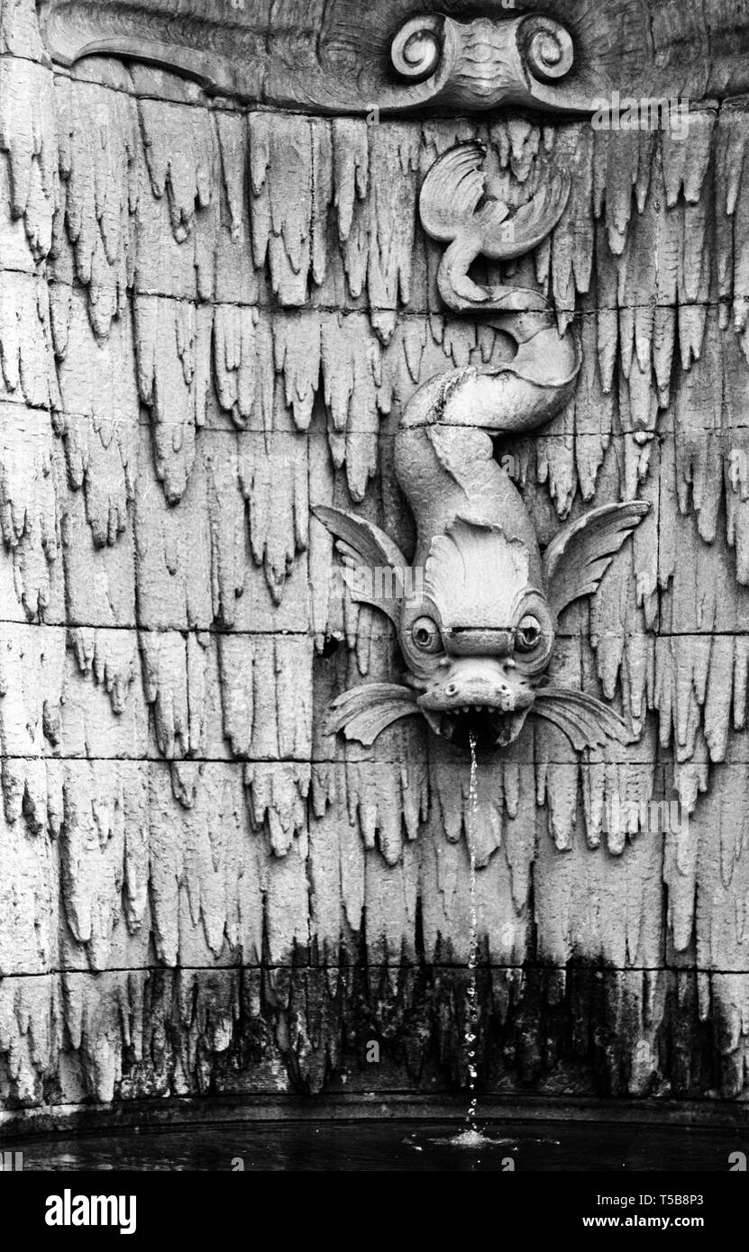 Une gargouille poisson-dragon de l'eau dans les buses d'une piscine sur le Biltmore Estate à Asheville, NC, USA Banque D'Images