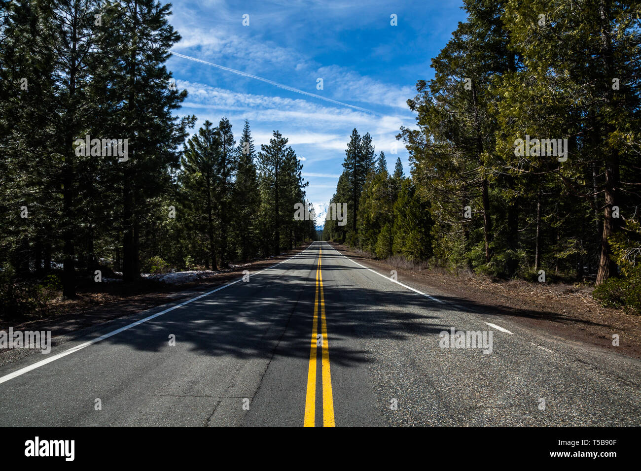 Sur une longue étendue de la route droite à travers la forêt, ciel bleu avec nuages whispy les frais généraux et le Mont Shasta, au loin. Banque D'Images