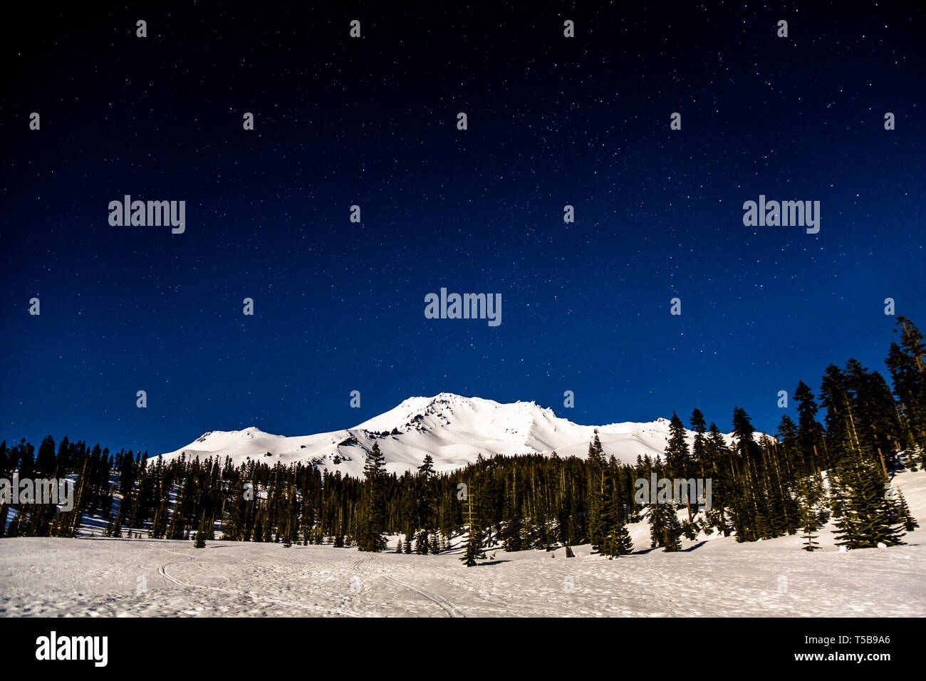 Le mont Shasta de Bunny sentier plat vue par full moon light tard dans la nuit avec les étoiles au-dessus dans un ciel sombre. Banque D'Images