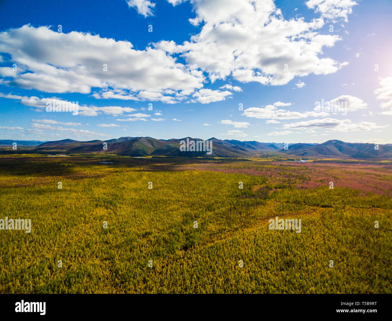 Vue aérienne de la forêt dans l'Extrême-Orient, Russie Banque D'Images