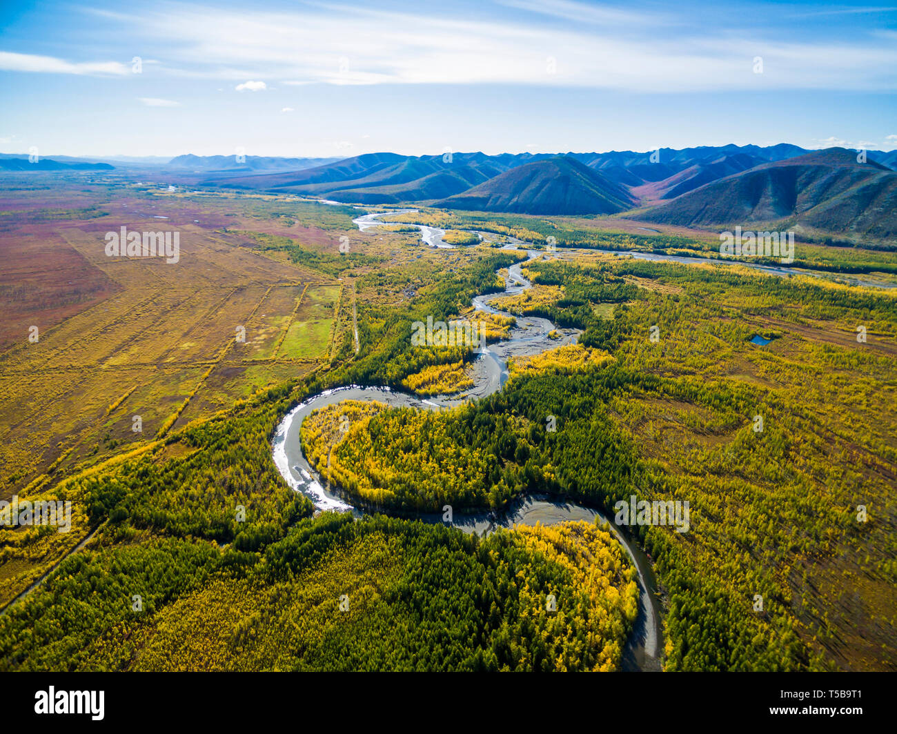 Vue aérienne de la forêt dans l'Extrême-Orient, Russie Banque D'Images