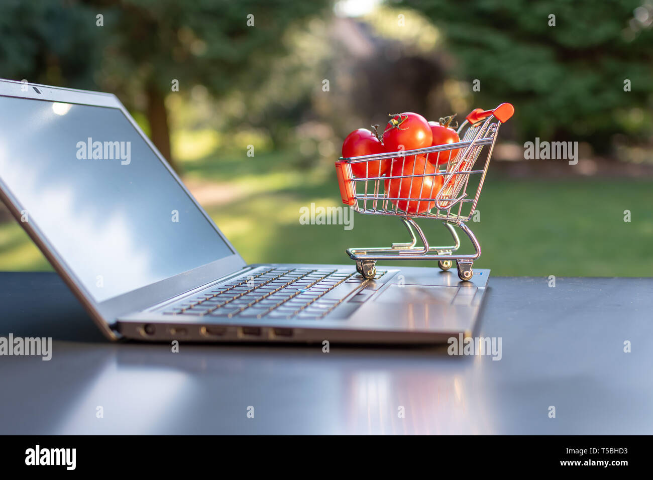 Concept de l'épicerie en ligne. Un petit panier avec des tomates est un permanent un ordinateur portable. Banque D'Images