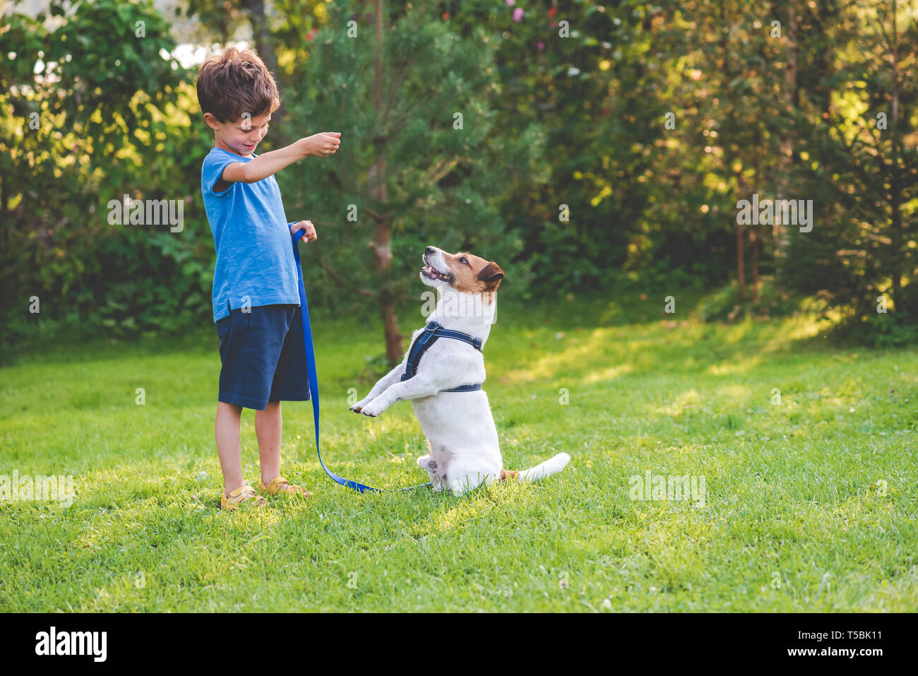 Bambin enfant garçon faisant la formation d'obéissance de chien les classes avec son animal Banque D'Images