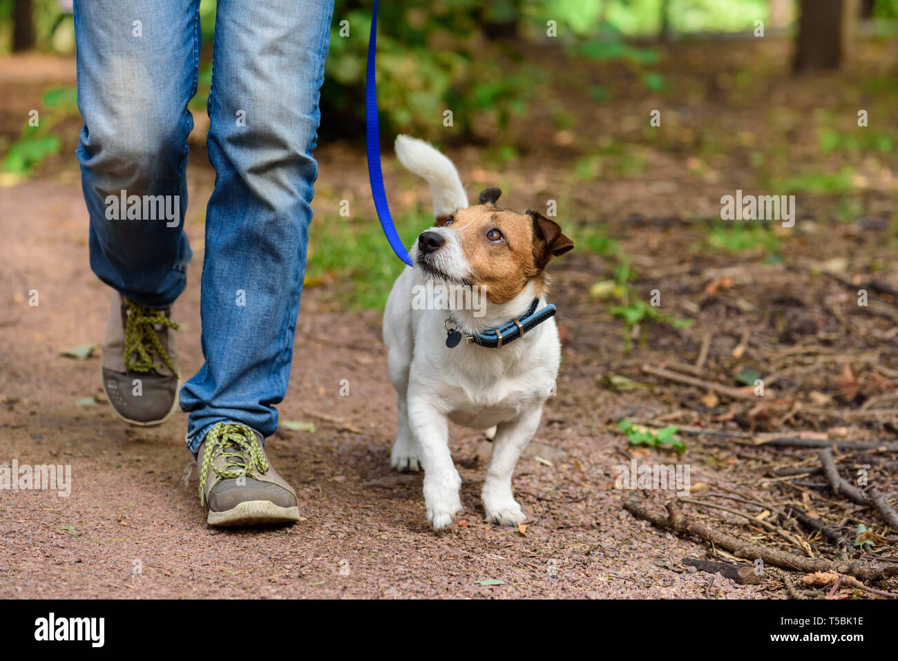 Concept de style de vie sain avec le chien et l'homme en plein air randonnée Banque D'Images