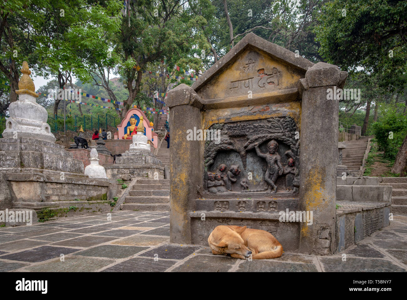 Couchage chien en face d'un bas-relief hindouiste sous un ciel couvert matin de printemps au monkey temple (Temple de Swayambhunath) à Katmandou, Népal Banque D'Images