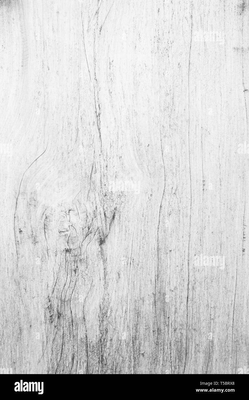 Vue de dessus de table en bois de chêne naturel light blanc fond couleur. Plancher en bois gris de grain propre toile panneau de bouleau avec langage régulièrement l'pâle conseil Banque D'Images