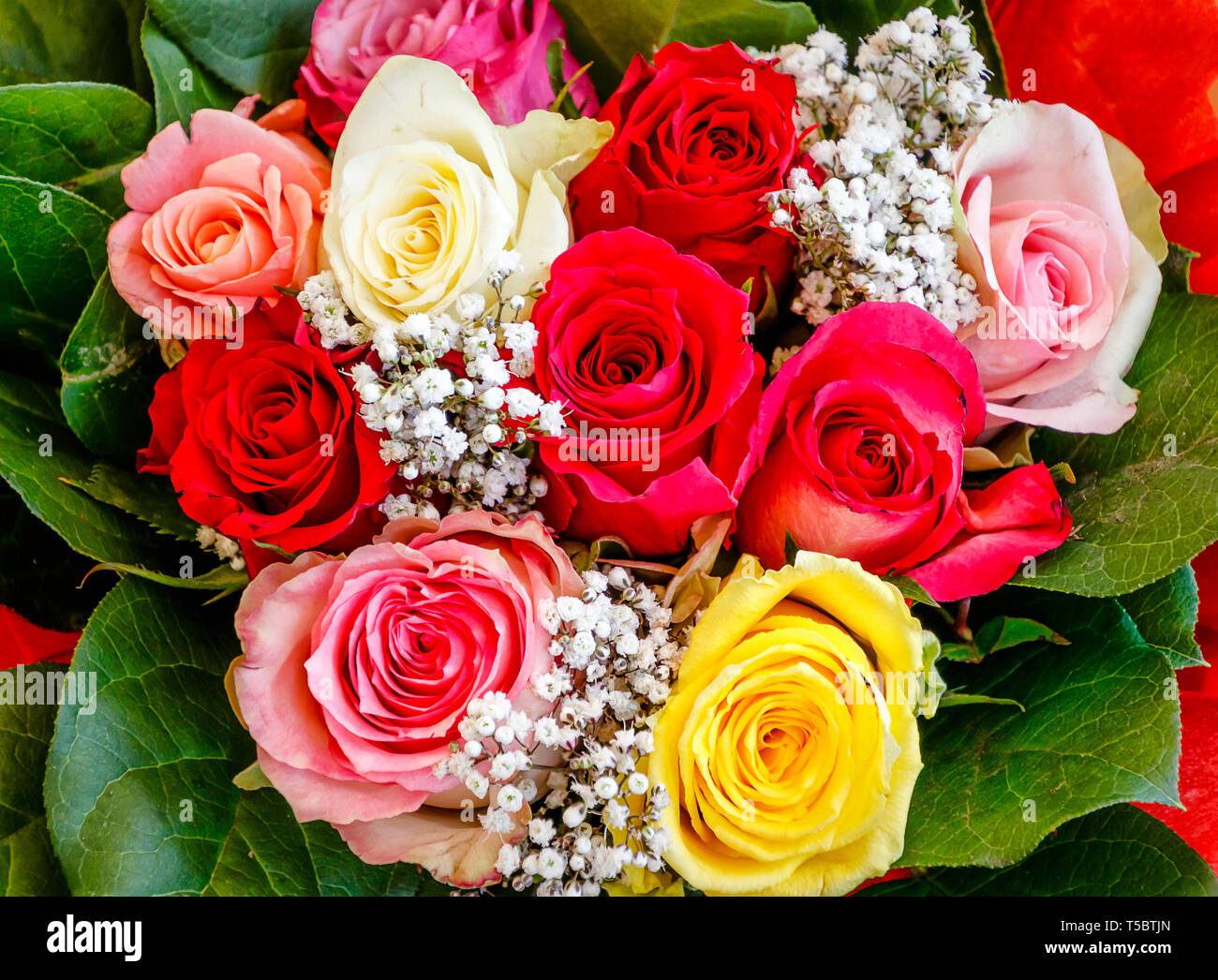 Bouquet de belles roses rouges, jaunes et blanches et roses Banque D'Images