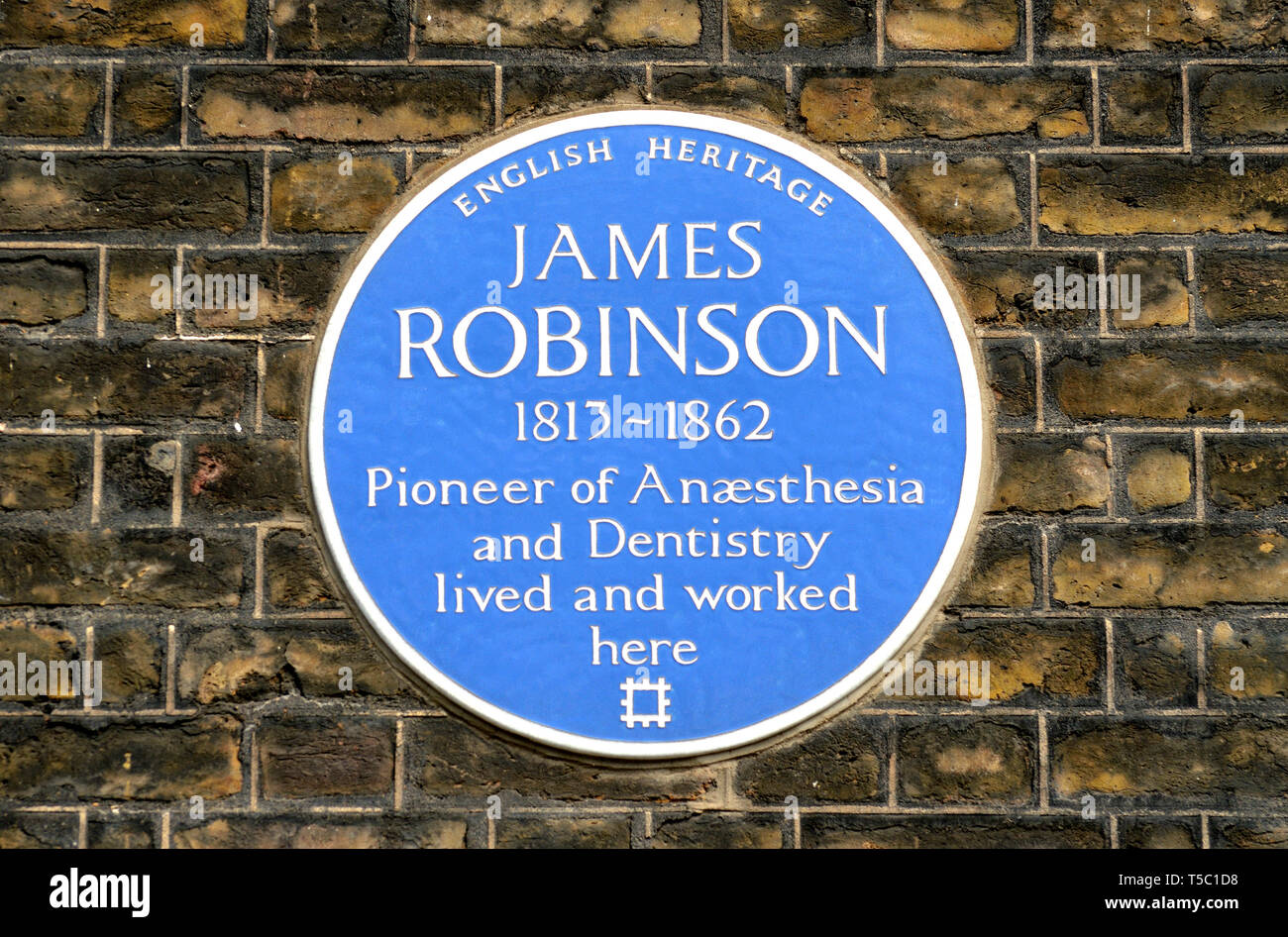 Londres, Angleterre, Royaume-Uni. Blue Plaque commémorative : James Robinson (1813-1862) Pionnier de l'Anesthaesia et médecine dentaire, a vécu et travaillé ici. 14 Gower Stree Banque D'Images