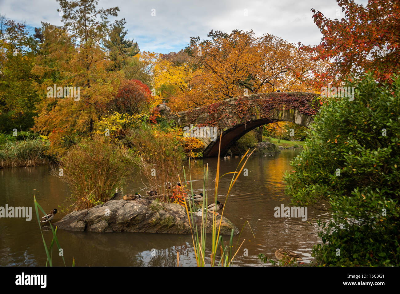 Gapstow Bridge, Central Park, à l'automne Banque D'Images