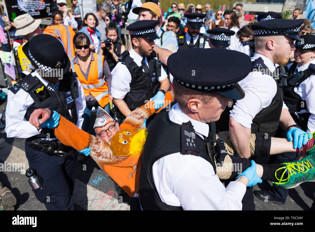 Arrestation d'un manifestant de la police au camp de rébellion d'extinction sur Waterloo Bridge, Londres Banque D'Images