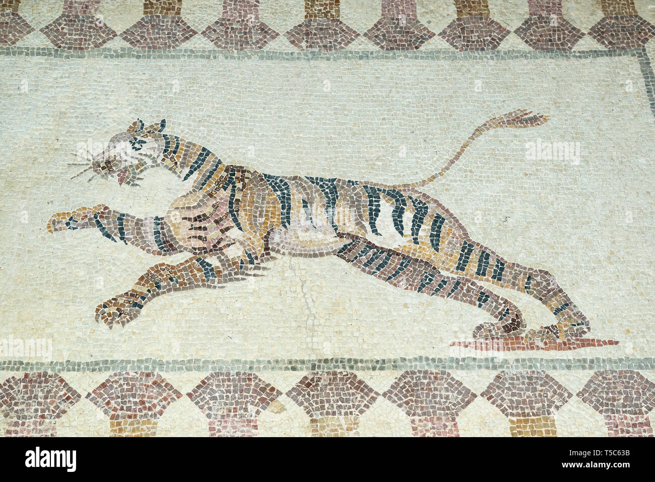 L'inscription de la mosaïque d'un tigre, Maison de Dionysos, Parc archéologique de Paphos, Paphos, Chypre Banque D'Images
