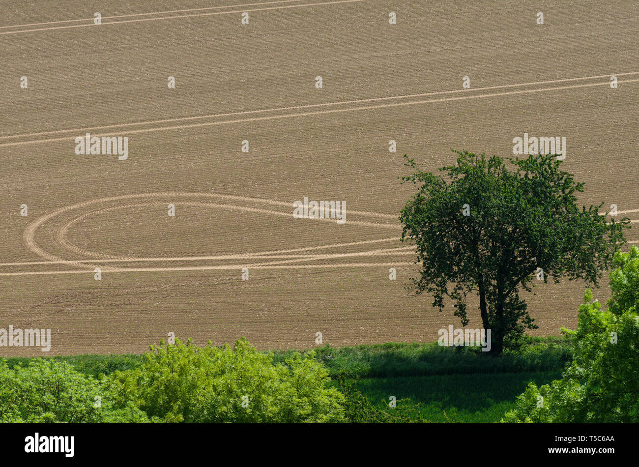 Modèle de gauche du tracteur de pistes sur les terres agricoles néerlandais, Limbourg, Pays-Bas. Banque D'Images