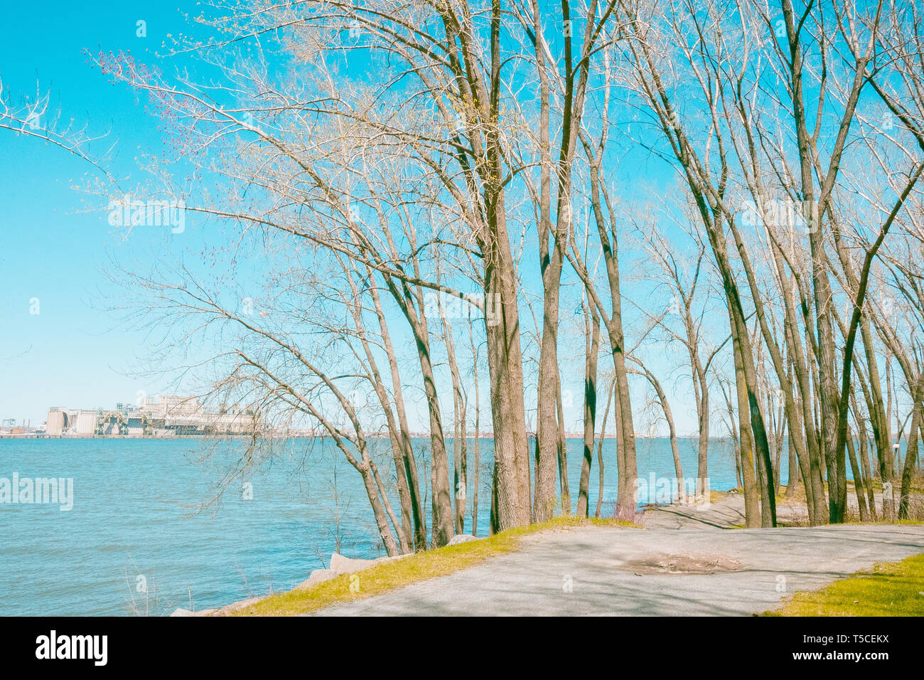 Paysage de printemps sur le fleuve Saint-Laurent, Longueuil, Montréal, Canada. Couleurs douces, pastel Banque D'Images