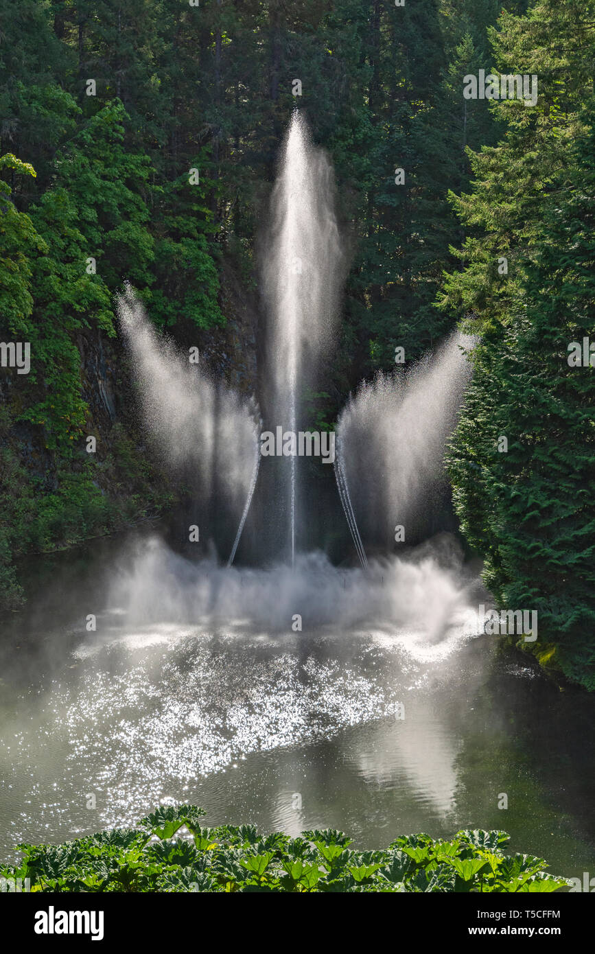 Canada, Brentwood Bay, les Jardins Butchart, Ross Fountain Banque D'Images