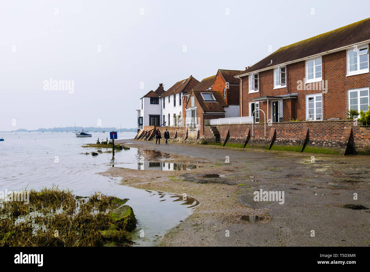 Maisons avec des défenses contre les inondations sur Shore Road encore humide comme marée se retire de Bosham Creek dans la région de Chichester Harbour. Bosham, West Sussex, Angleterre, Royaume-Uni, Angleterre Banque D'Images