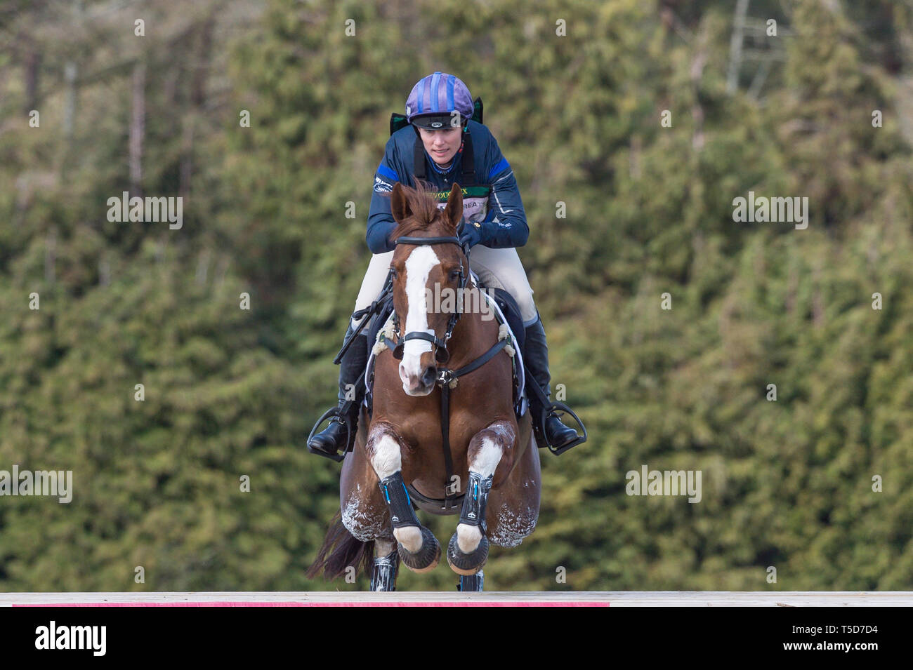 Burnham Market International Horse Trials, Burnham Market, Norfolk, Angleterre , 13 avril 2019. Zara Tindall et son cheval Class Affair prendre part à th Banque D'Images