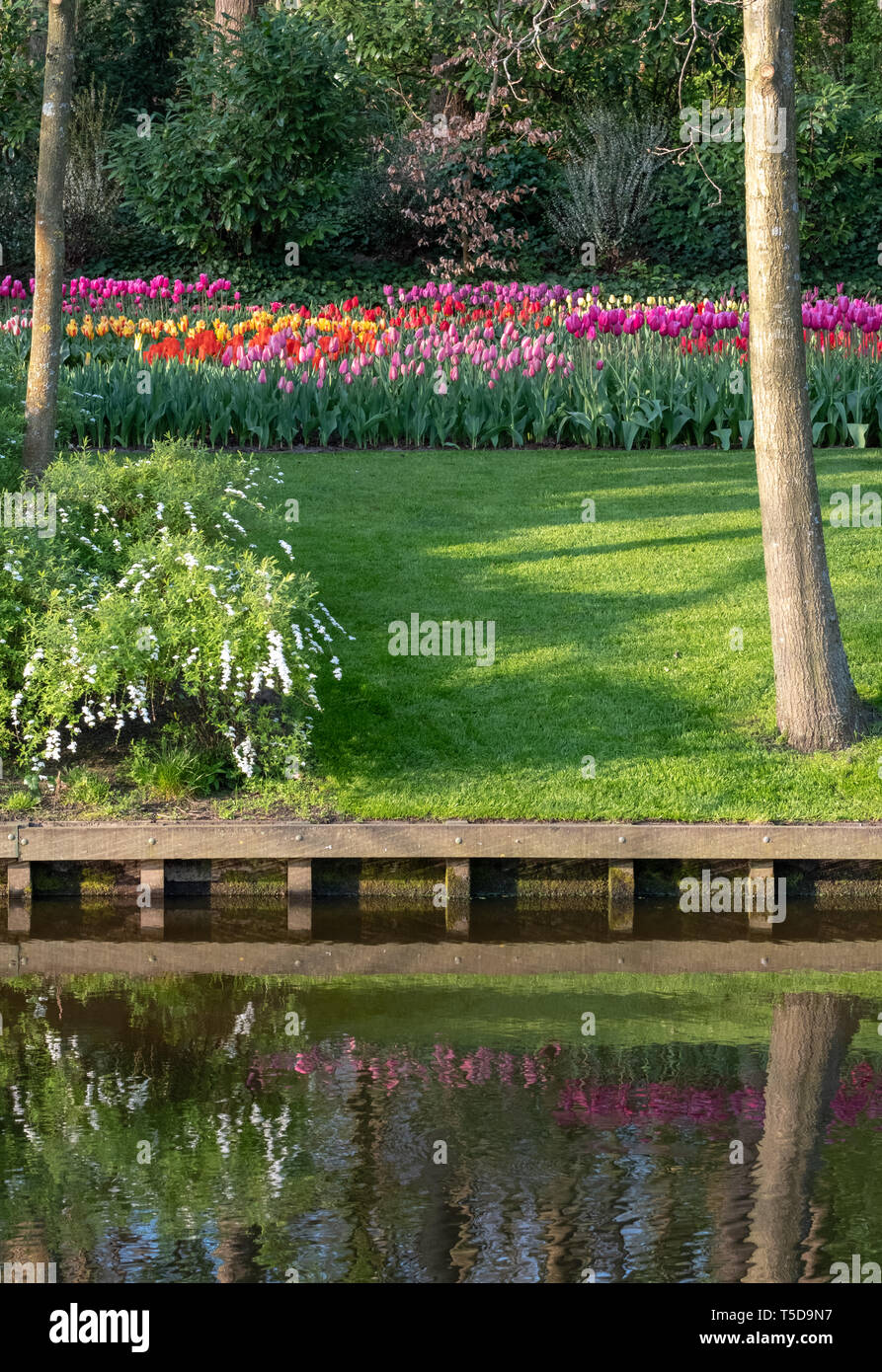 Tulipes colorées par le lac au jardins de Keukenhof, Lisse, Hollande-du-Sud. Keukenhof est connue comme le jardin de l'Europe. Banque D'Images