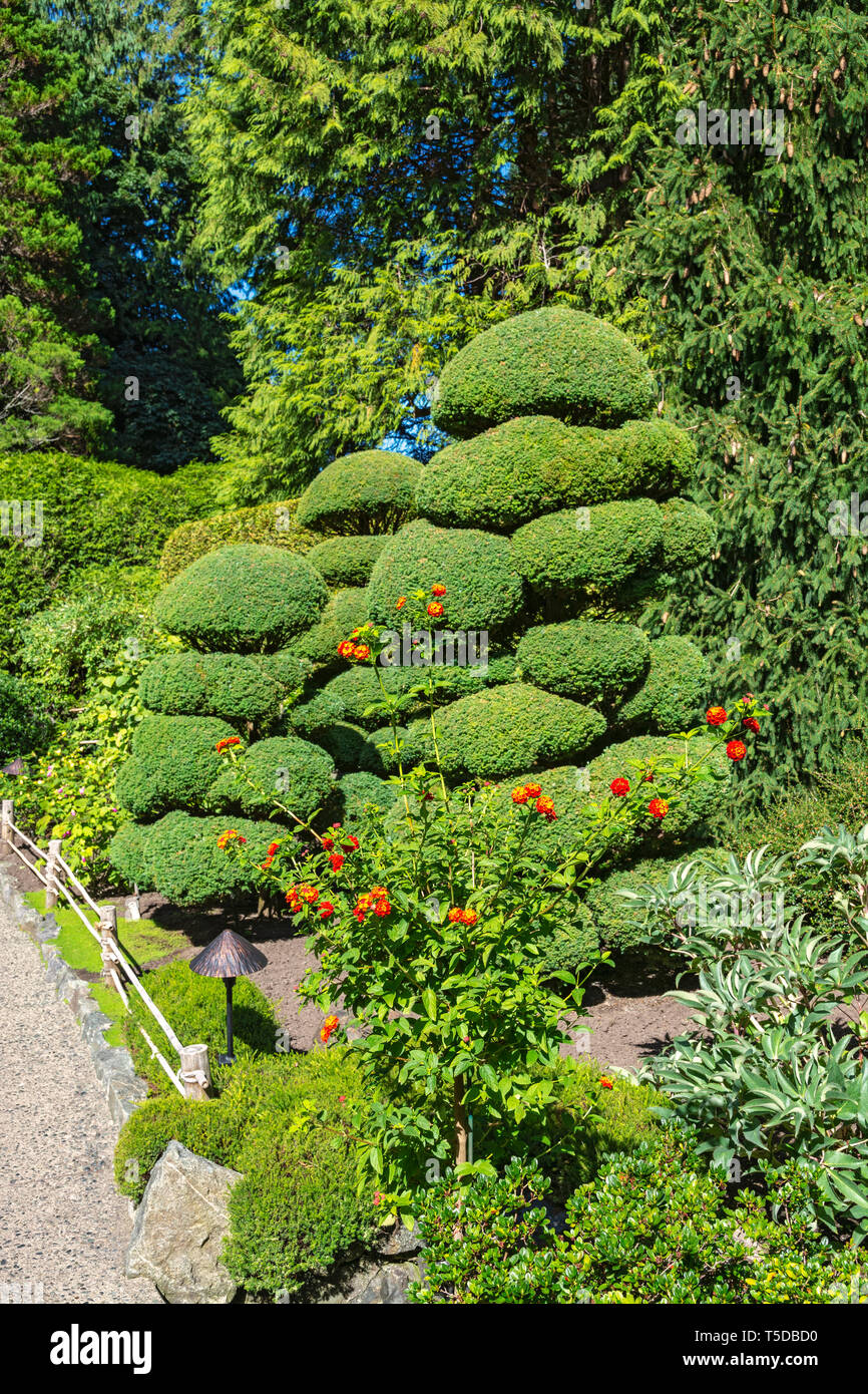 Canada, Brentwood Bay, Butchart Gardens, un jardin japonais Banque D'Images