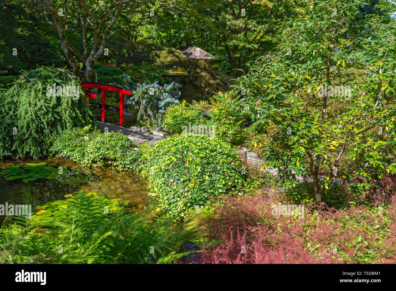 Canada, Brentwood Bay, Butchart Gardens, un jardin japonais Banque D'Images